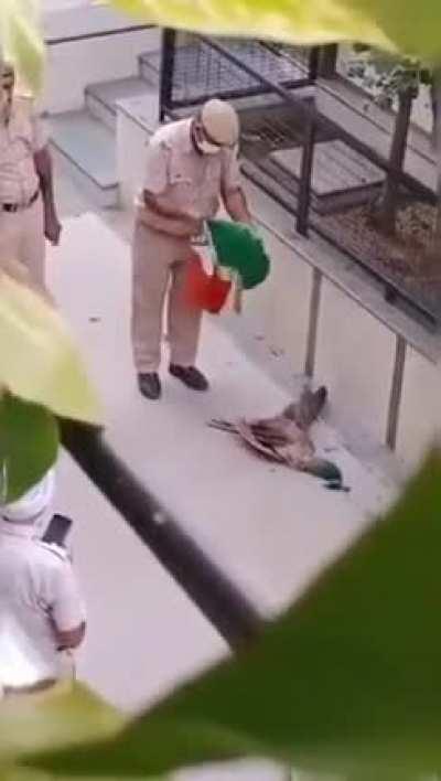 Not All Cops are Same | National Bird Treated with a National Flag | Insaniyaat Mari Nahi hai Bhratas