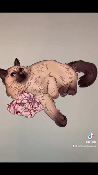 I joined TikTok to laugh at shit videos. Then I started making my own. Here’s my cat with different desserts