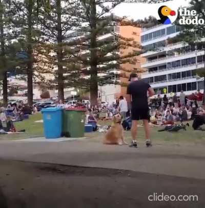 Dog plays dead to avoid going home in park while crowd watches..