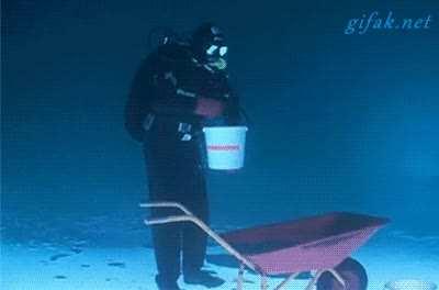 Diver walking upside down under the ice.