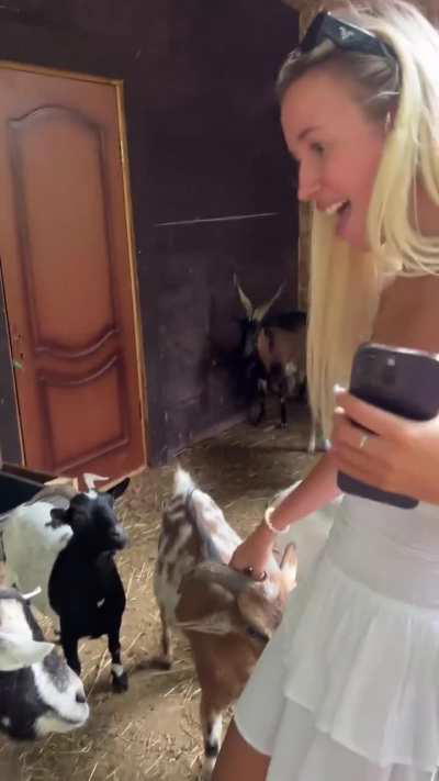 Polina Malinovskaya - Crossing Over to the Goats' Enclosure in White Mini Skirt and Top (IG Story Clip)