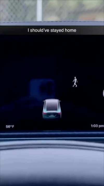 Tesla detecta fantasma 