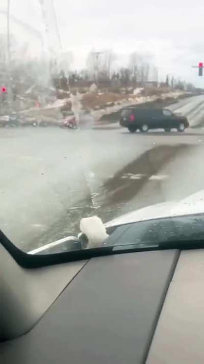 Driver discovers a little stoataway in their car 