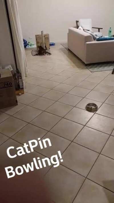 CatPin Bowlling