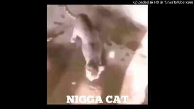 nigga cat 50 cent remix