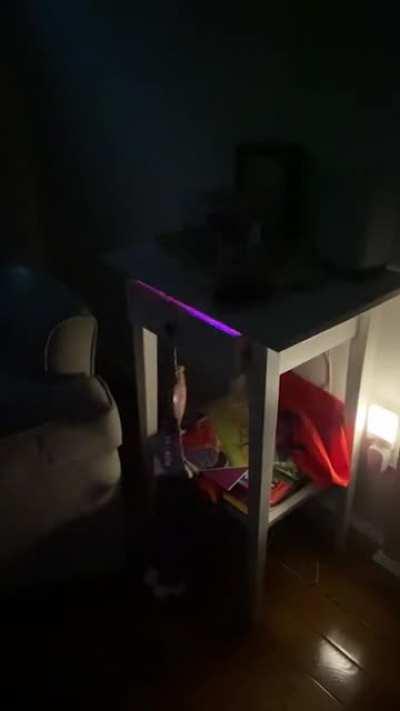 I might be mistaken but I think there’s a rave happening in my daughter’s nightstand.