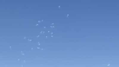 Approximately 100 interceptions above Haifa, 08/10/24