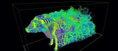 Aerodynamics of a cow