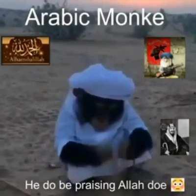 Monke one with peace, monke pure