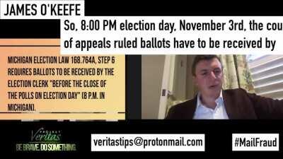 Michigan USPS exposed ballot fraud!