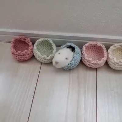 Tiny Beds for a Tiny Hamster