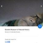 These photos on the official google maps page for the Bonaire Museum of Natural History