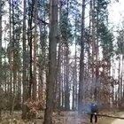 WCGW if we underestimate the durability of a tree?