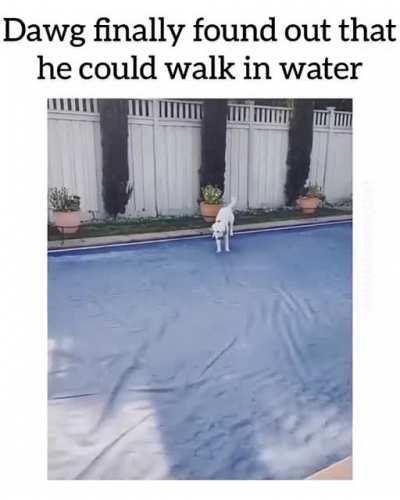 He could walk in water.....