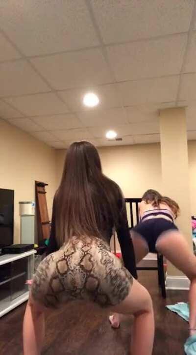 Ashley and Taylor Hansen shaking their asses