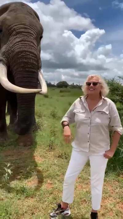 Elephant pulls prank on lady