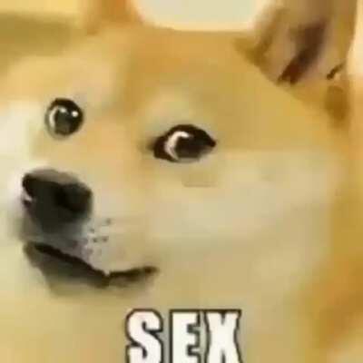 sex