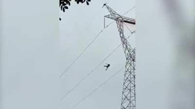 Man Gets Electrocuted After Climbing Tower