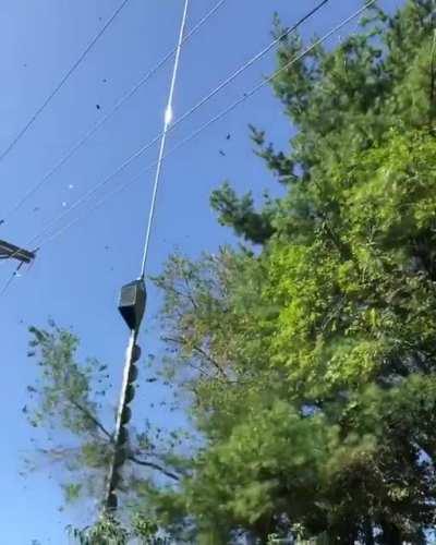 A large chainsaw attached to a helicopter is used to cut branches off of tress