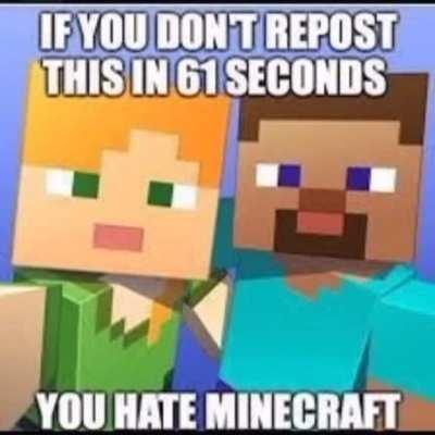 I DONT HATE MINECRAFT