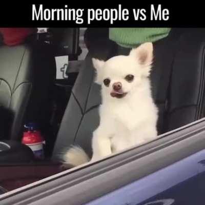 MORNING PEOPLE VS ME #dog#smalldog