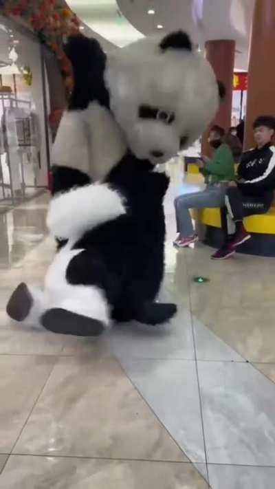 Panda fight with Husky