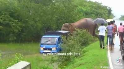 Elephant attacks a safari jeep | Sri Lanka  