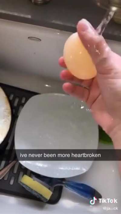 egg