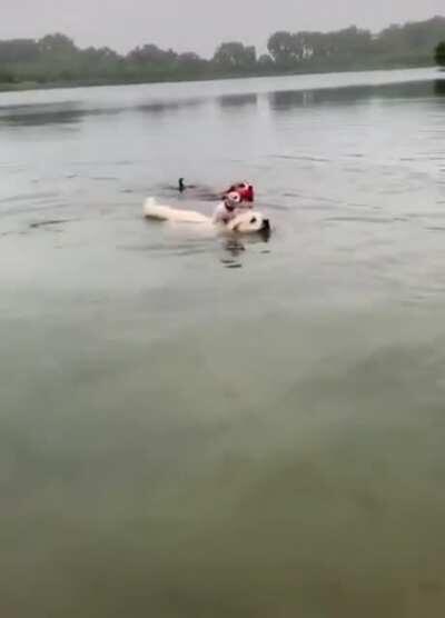 Gentle giant gives his little fren a float ride in the water