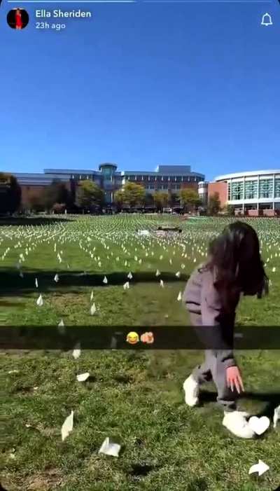 Girl destroys Palestinian memorial at Penn state University 