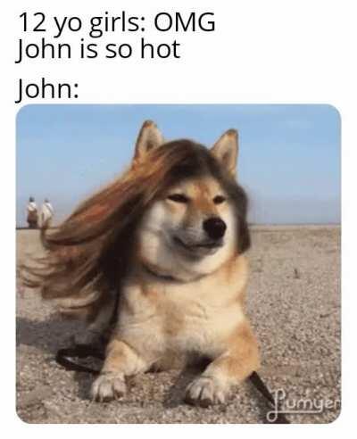 Mmm hot doggo