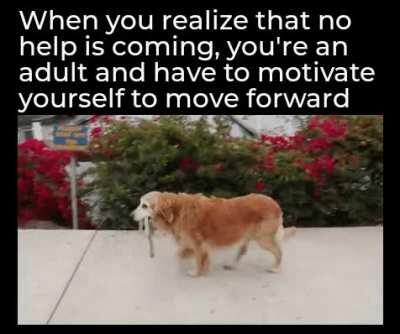 Being an adult