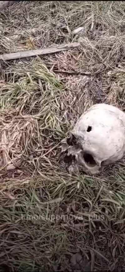 The skull of a Russian Federation soldier a year after the invasion