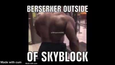 Bers outside of skyblock