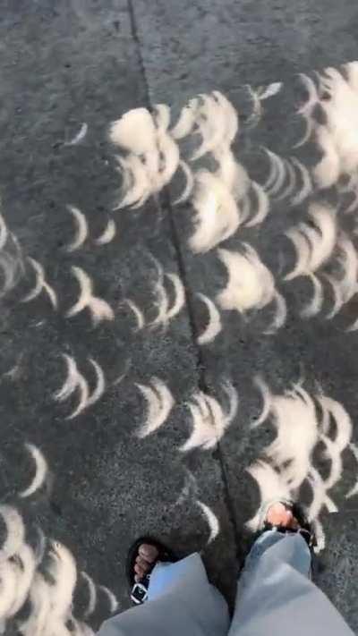 🔥 Shadows cast during the eclipse