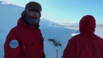 BBC crew rescues trapped Penguins