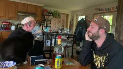 She’s laughing at his laugh and he’s laughing at her laugh. Bonus cat in a cone.