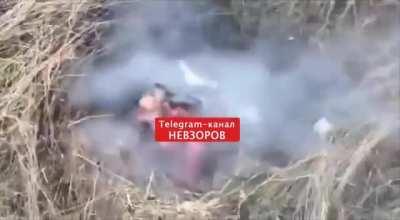 Russian soldier got killed by grenade, very nsfw.