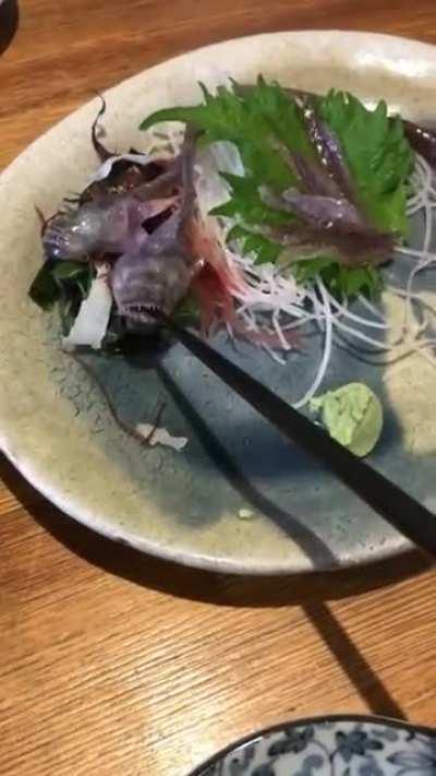 A fish that's served at a Japanese restaurant grabs onto chopstick