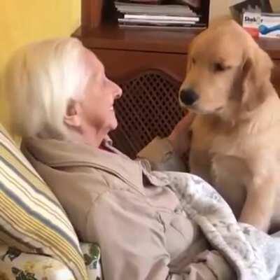 This 5 months puppy brings a lot of joy to his 100 years old grandma