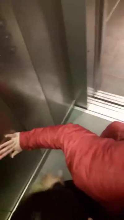 Blowjob Elevator Public