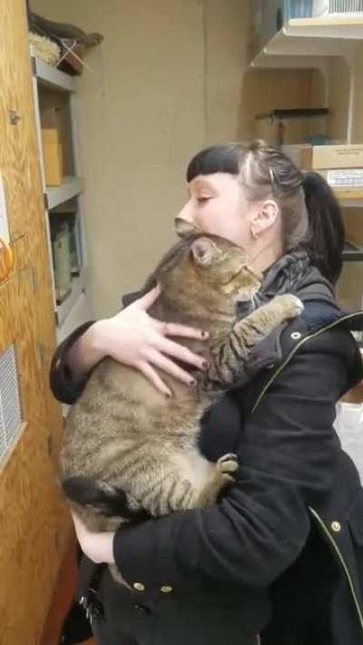 Cat getting adopted