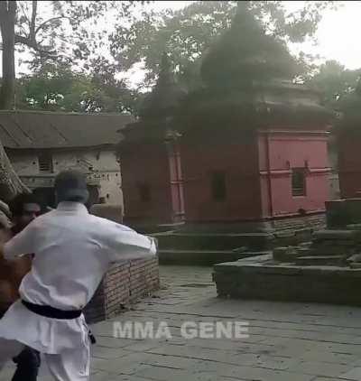 Karate vs sokak dövüşü