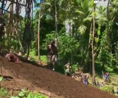 Tribal bungee jumping using vines