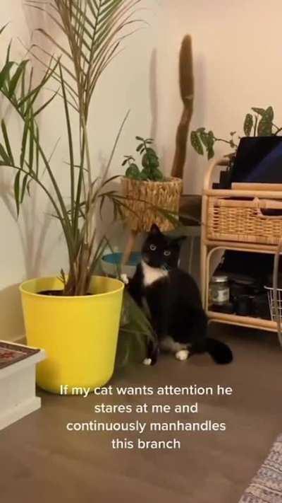 Touch Tha Plant