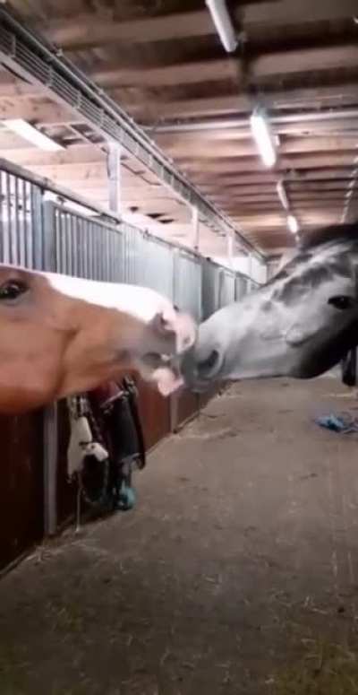 A Stable relationship