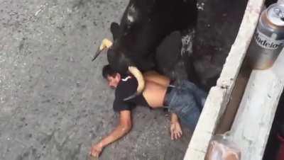 Dude with the Chicago Bulls shirt on feels the wrath of a Bull. NSFW NSFL 