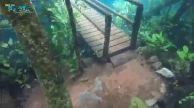 Heavy rain leaves trail under crystalline water and creates rare and beautiful scene