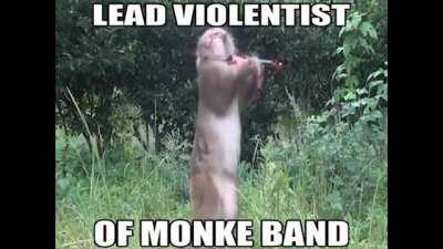 violent monke band