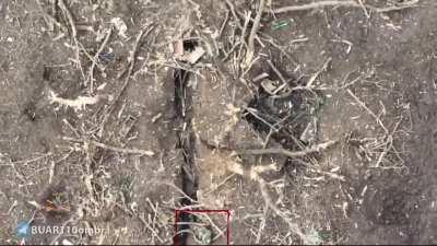 Ukrainian drone from 110th mechanized brigade, BUAR Unit flies over treelines with bodies of dead russian soldiers. Nearly 100 corpses can be counted